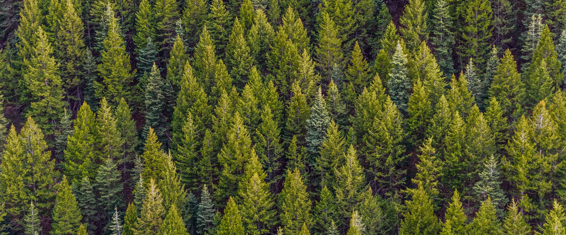 Every Month Is Earth Month at Goodbuygears