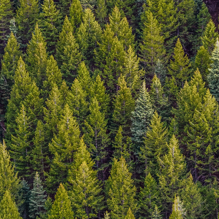 Every Month Is Earth Month at Goodbuygears