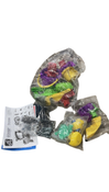Shop Step2 Rain Showers Splash Pond Water Table at Goodbuygears