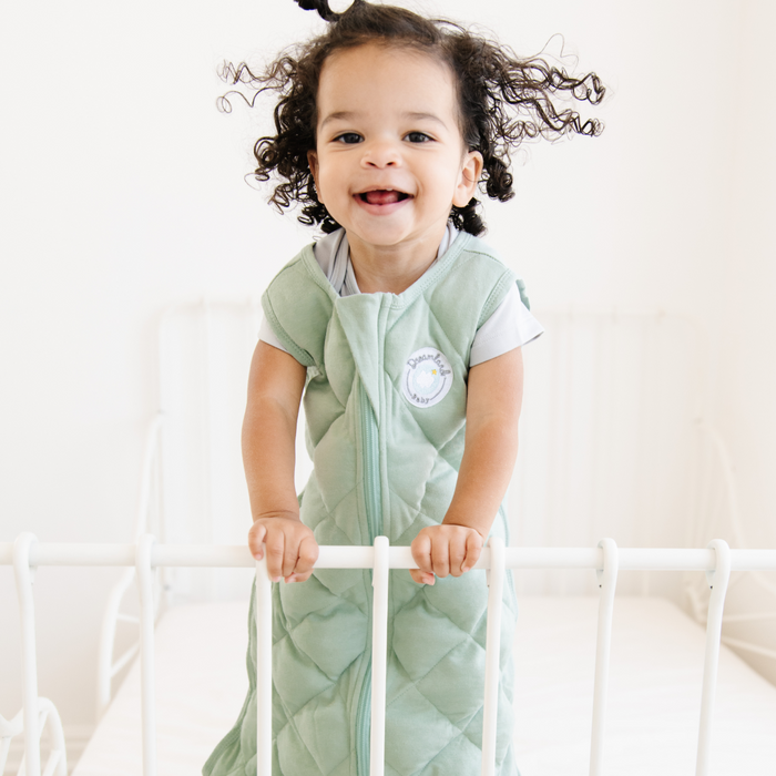 Shop Dreamland Weighted Sleep Sack, Various Sizes & Colors at Goodbuygears