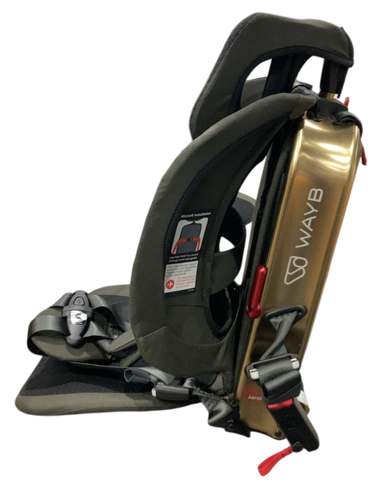 Shop WAYB Pico Portable Car Seat, 2023, Earth at Goodbuygears