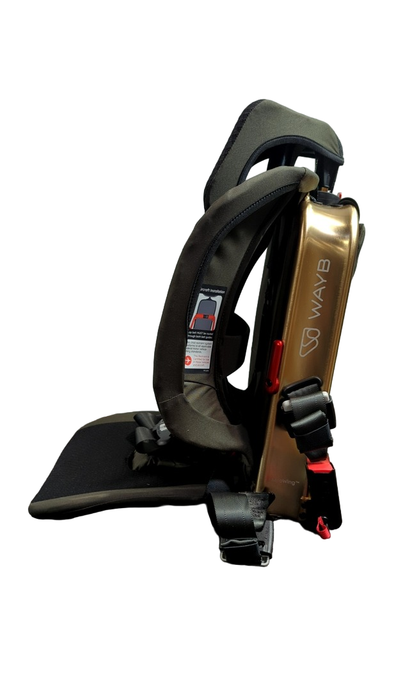 Shop WAYB Pico Portable Car Seat, 2023, Earth at Goodbuygears