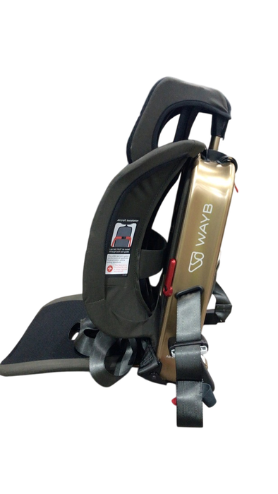 Shop WAYB Pico Portable Car Seat, 2022, Earth at Goodbuygears