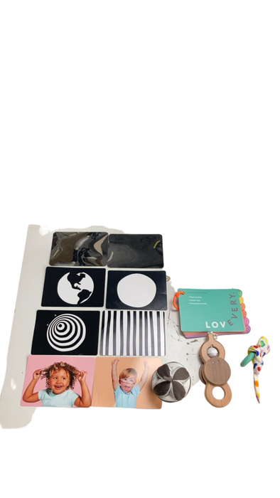 Shop Lovevery The Play Gym at Goodbuygears