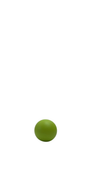 no bg image