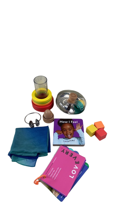 Shop Lovevery The Explorer Play Kit at Goodbuygears