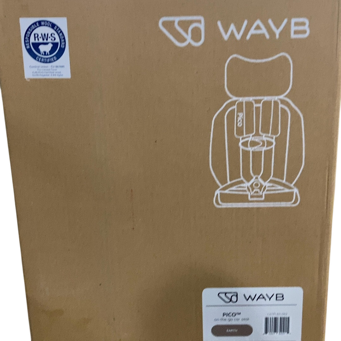 Shop WAYB Pico Portable Car Seat, 2023, Earth at Goodbuygears