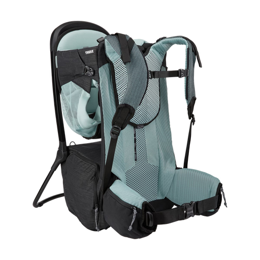Shop Thule Sapling Child Carrier, Alaska Blue at Goodbuygears