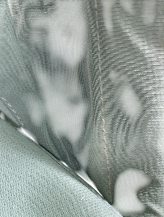 Shop Cybex Coya Stroller, 2023, Chrome, Leaf Green at Goodbuygears