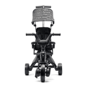 Shop Doona Liki Trike, Vashtie Limited Edition at Goodbuygears