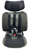 Shop WAYB Pico Portable Car Seat, 2024, Earth at Goodbuygears