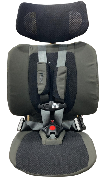 Shop WAYB Pico Portable Car Seat, 2024, Earth at Goodbuygears