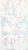 no bg image