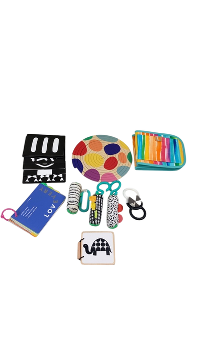 Shop Lovevery The Looker Play Kit at Goodbuygears