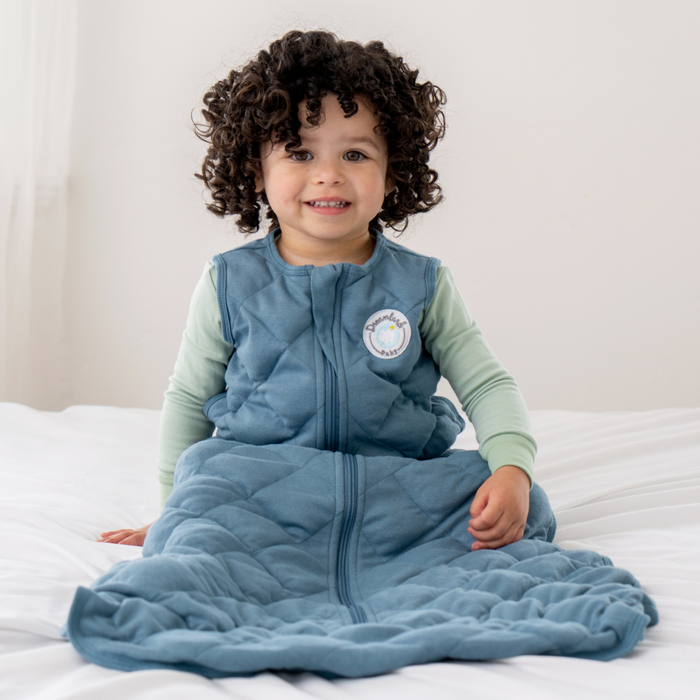 Shop Dreamland Weighted Sleep Sack, Various Sizes & Colors at Goodbuygears