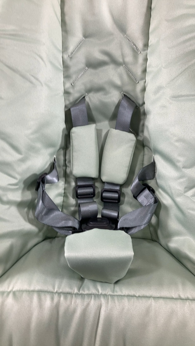 Shop 4moms MamaRoo Multi-Motion Baby Swing, Sage Limited Edition at Goodbuygears