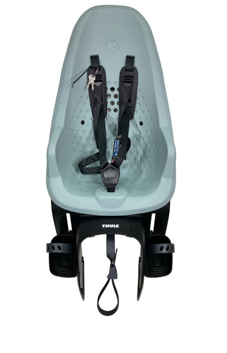 Shop Thule Yepp 2 Maxi Rack Mounted Child Bike Seat , Alaska at Goodbuygears