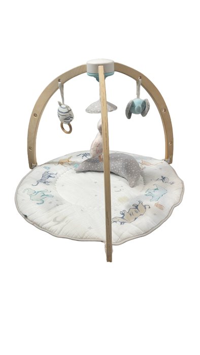 Shop Aden + Anais Play + Discover Baby Activity Gym, Rising Star at Goodbuygears