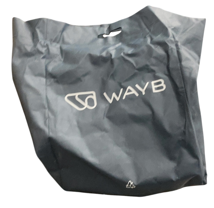 Shop WAYB Pico Portable Car Seat, 2023, Earth at Goodbuygears