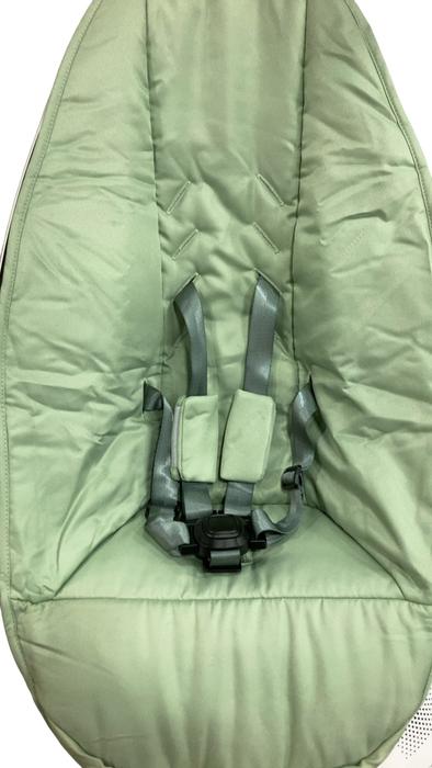 Shop 4moms MamaRoo Multi-Motion Baby Swing, Sage Limited Edition at Goodbuygears