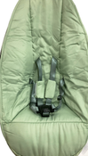Shop 4moms MamaRoo Multi-Motion Baby Swing, Sage Limited Edition at Goodbuygears