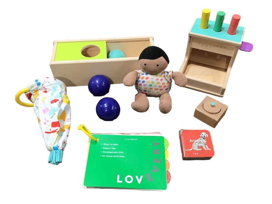 Shop Lovevery The Thinker Play Kit at Goodbuygears