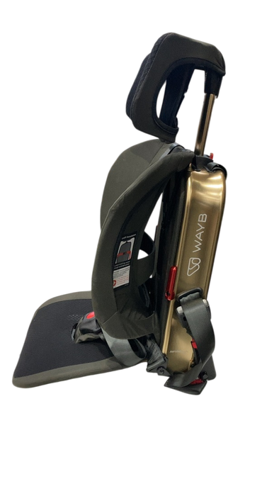 Shop WAYB Pico Portable Car Seat, 2023, Earth at Goodbuygears