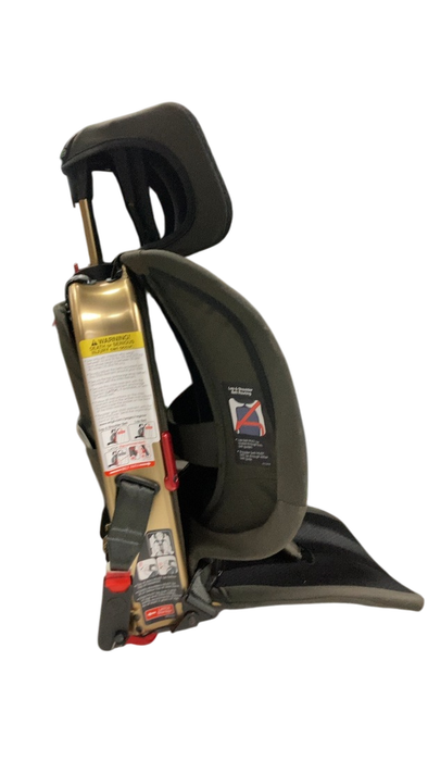 Shop WAYB Pico Portable Car Seat, 2022, Earth at Goodbuygears