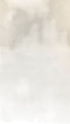 no bg image