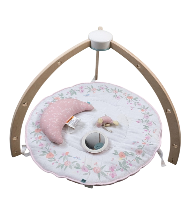 Shop Aden + Anais Play + Discover Baby Activity Gym, Ma Fluer at Goodbuygears
