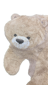 no bg image