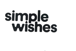 Shop Simple Wishes Hands Free Pumping Bra, Black, Large to Plus at Goodbuygears