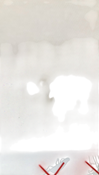 no bg image
