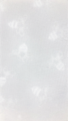 no bg image