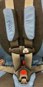 Shop WAYB Pico Portable Car Seat, 2022, Midnight Sky at Goodbuygears