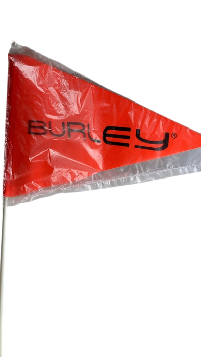 Shop Burley D’Lite X Bicycle Trailer Single, Aqua at Goodbuygears
