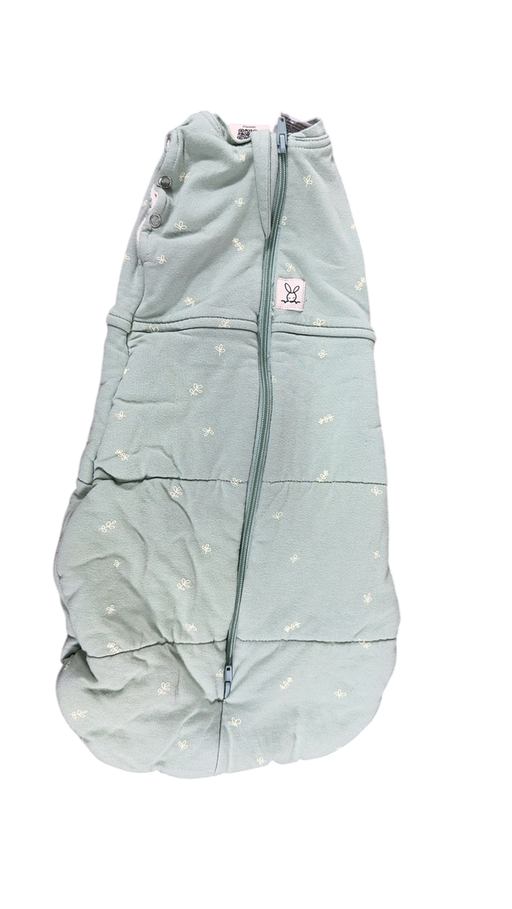 Shop ErgoPouch Cocoon Swaddle Bag 2.5, Sage, 0000M at Goodbuygears