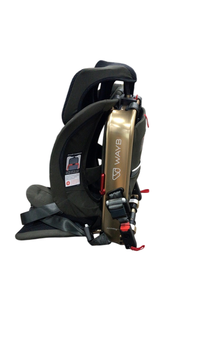 Shop WAYB Pico Portable Car Seat, 2023, Earth at Goodbuygears