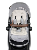 used Standard Strollers