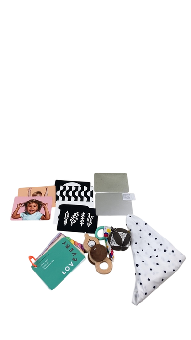 Shop Lovevery The Play Gym at Goodbuygears