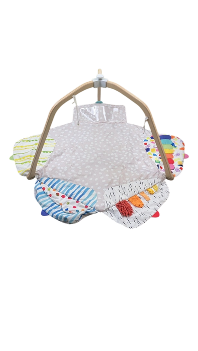 Shop Lovevery The Play Gym at Goodbuygears