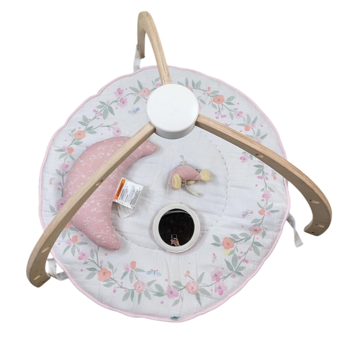 Shop Aden + Anais Play + Discover Baby Activity Gym, Ma Fluer at Goodbuygears