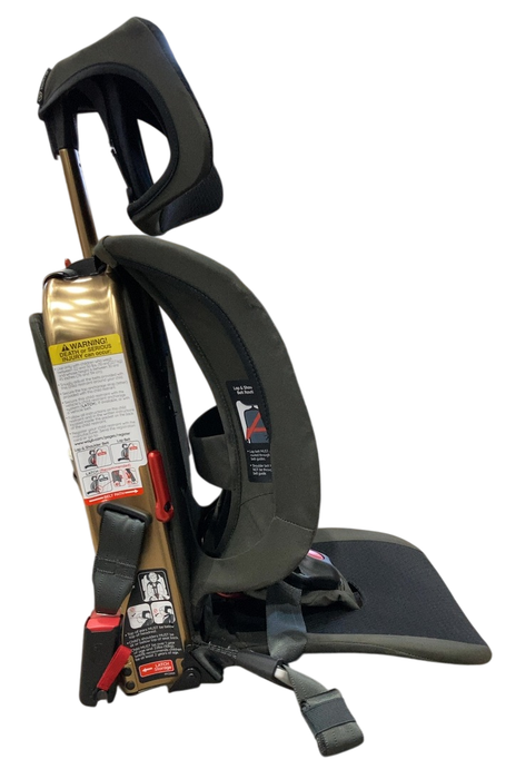 Shop WAYB Pico Portable Car Seat, 2023, Earth at Goodbuygears