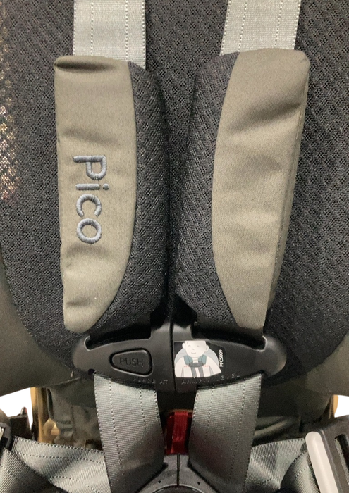 Shop WAYB Pico Portable Car Seat, 2024, Earth at Goodbuygears