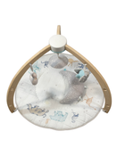 Shop Aden + Anais Play + Discover Baby Activity Gym, Rising Star at Goodbuygears