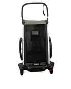 Shop Thule Chariot Lite Bike Trailer Stroller 1 Seat, 2021, Agave at Goodbuygears