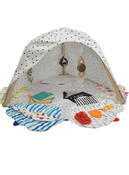Shop Lovevery The Play Gym at Goodbuygears