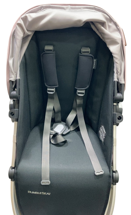 Shop UPPAbaby Rumbleseat V2+, Alice (Dusty Pink) at Goodbuygears