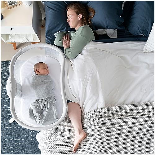 Shop Halo Bassinest Swivel Sleeper 3.0, Grey at Goodbuygears