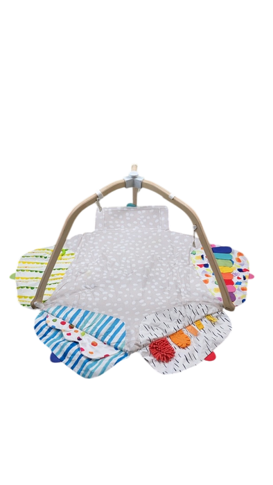 Shop Lovevery The Play Gym at Goodbuygears